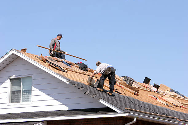 Best Siding Services  in Lewes, DE